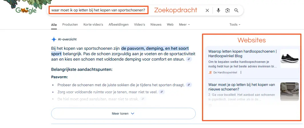 Google AI bronnen